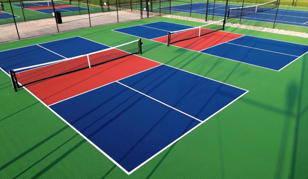 Pickle Court Flooring Service in Assam